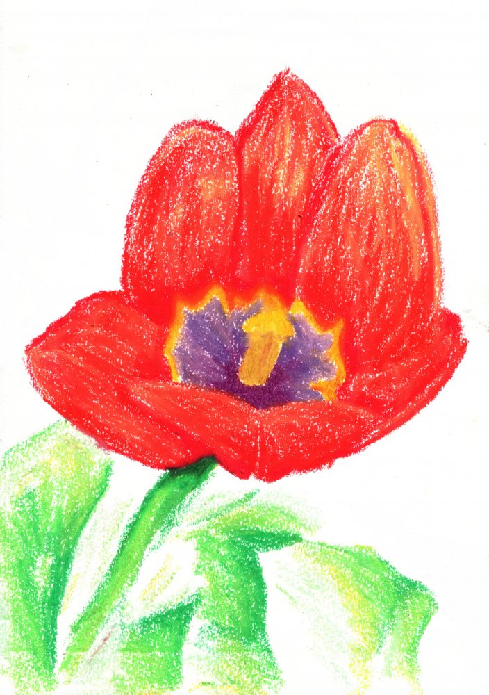 Lebendige rote Tulpe von Kulik