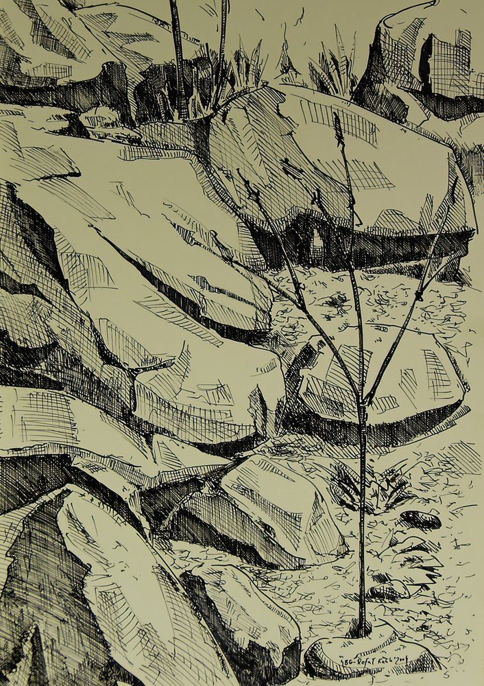 Junger Baum Zwischen Felsen von Kulik