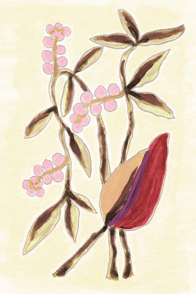 Rosa Beeren Botanicals von Lori Ann Folz