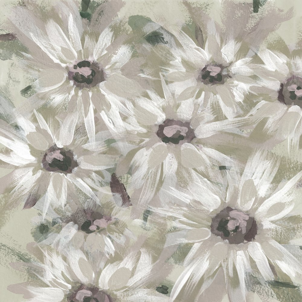 Weiche Gänseblümchenblüten von Lori Ann Folz