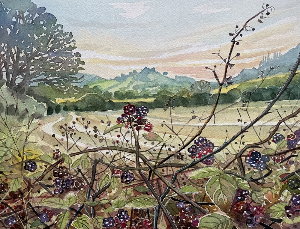 Reife Brombeeren Landschaft von Luisa Millicent