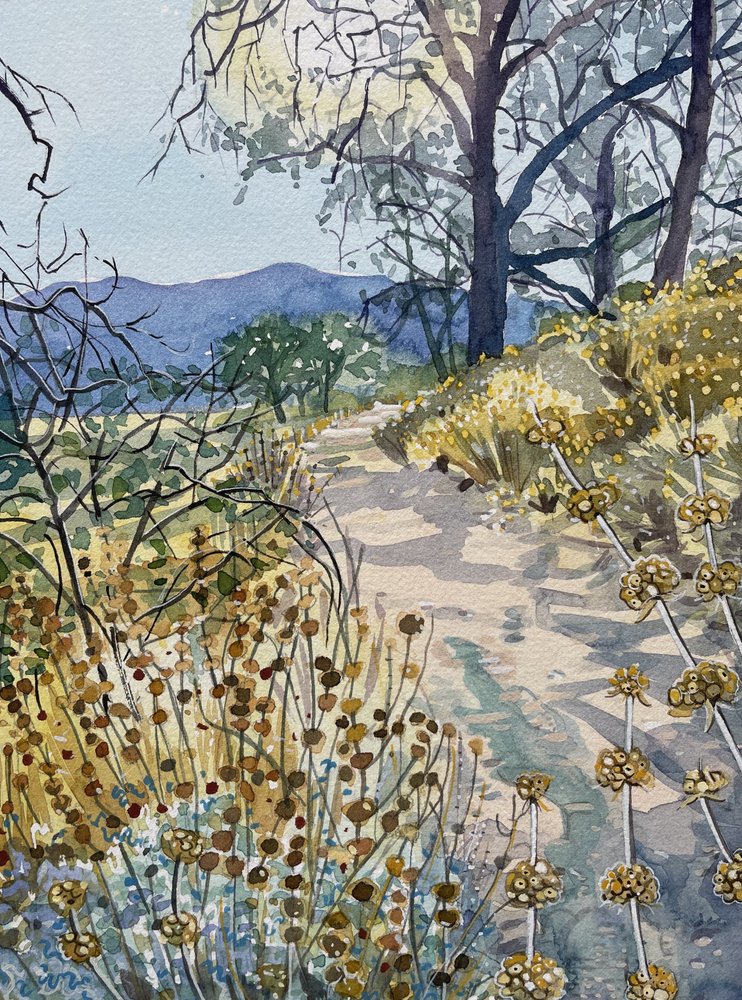 Ruhiger Naturpfad von Luisa Millicent