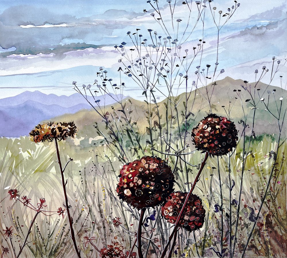 Wildblumen und Berge von Luisa Millicent