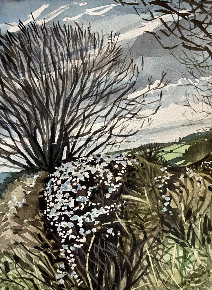 Winterlandschaft Blüte von Luisa Millicent