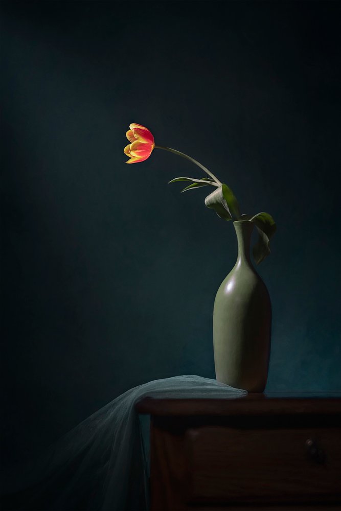 Dunkles Blumen-Stillleben von Lydia Jacobs