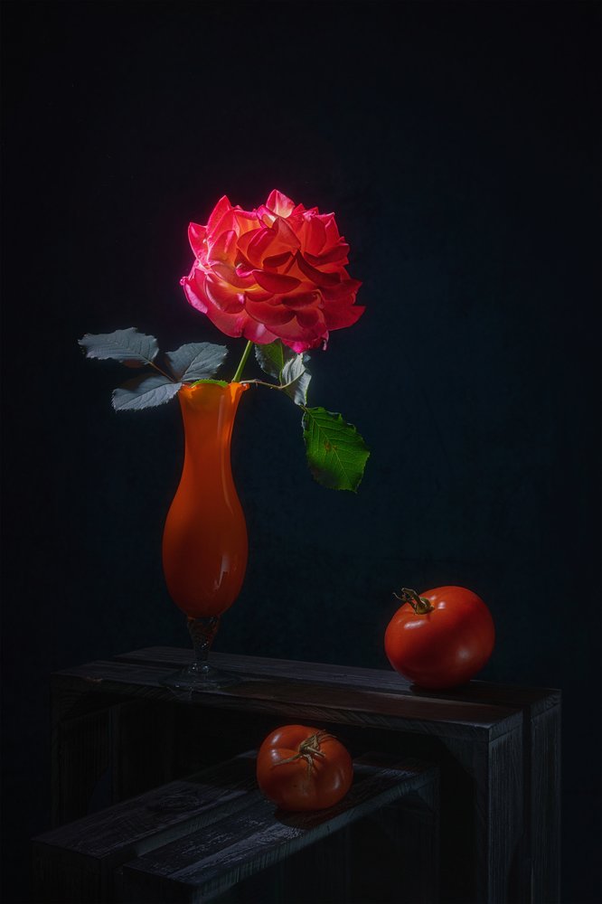 Dramatisches Rosen Stillleben von Lydia Jacobs