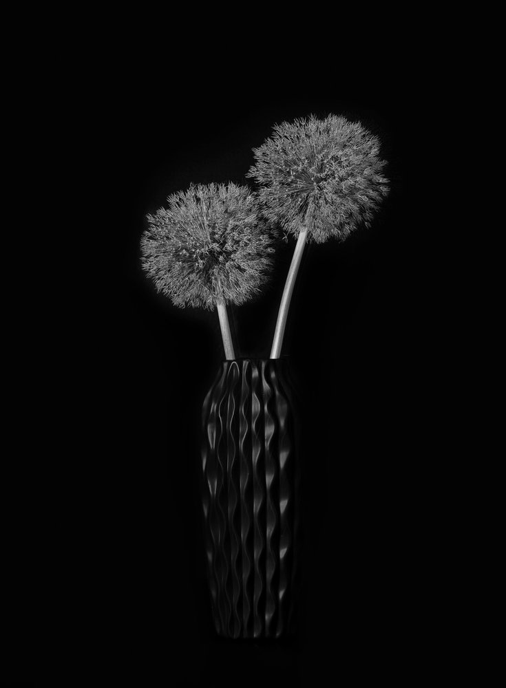 Elegante Löwenzahnvase von Lydia Jacobs