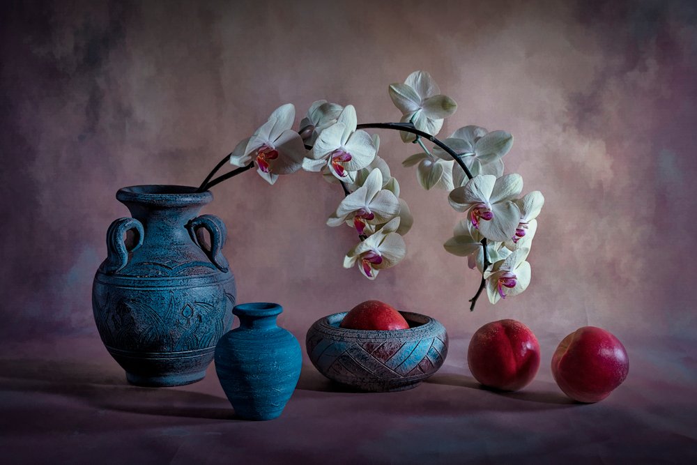 Elegantes Orchideen-Stillleben von Lydia Jacobs