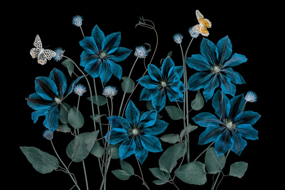 Ätherischer Blauer Garten von Lydia Jacobs
