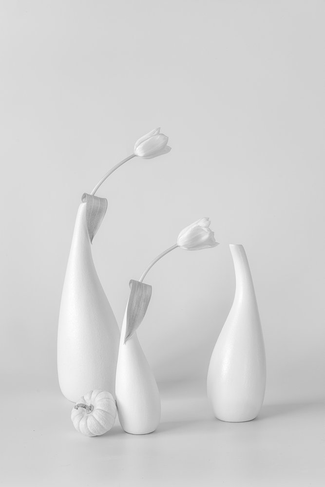 Minimalistische Weiße Tulpen von Lydia Jacobs