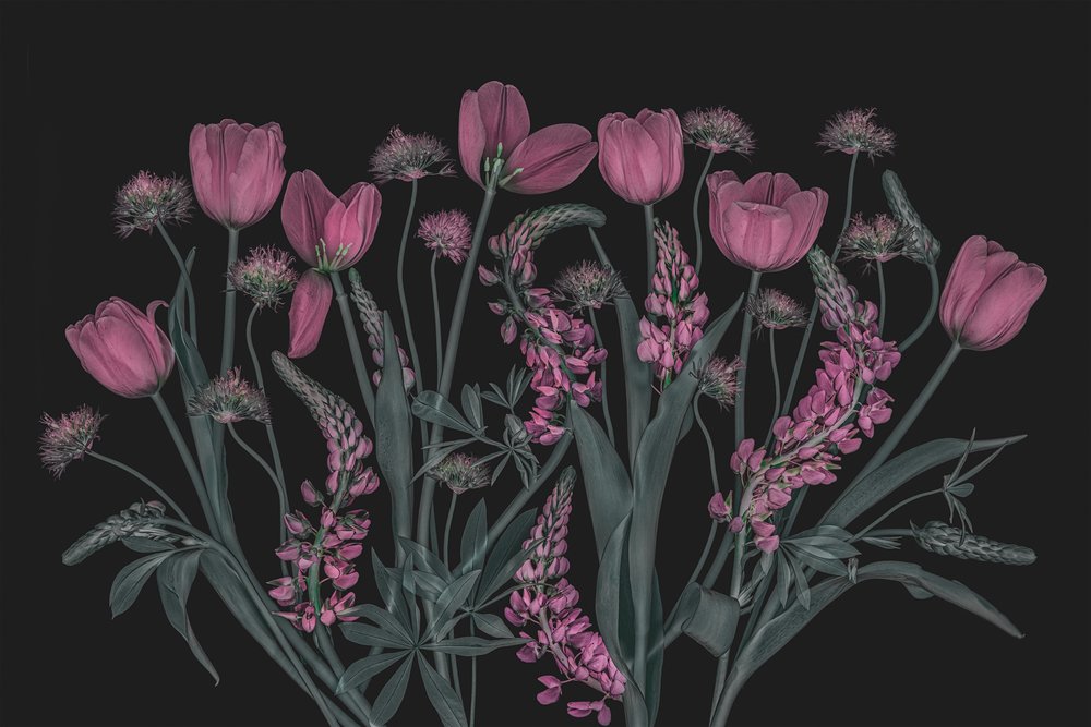 Stimmungsvolle Rosa Blüten von Lydia Jacobs