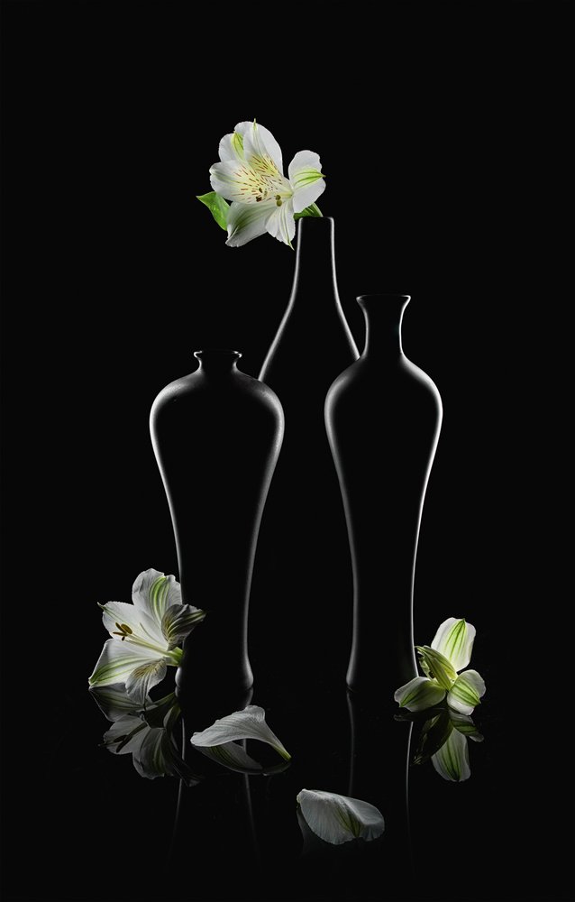 Weiße Blumen Dunkle Vasen von Lydia Jacobs