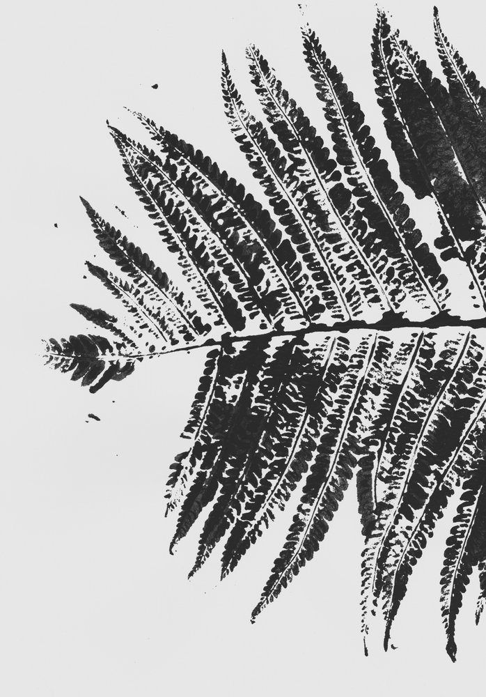 Botanische Farnsilhouette von Maira Ribena