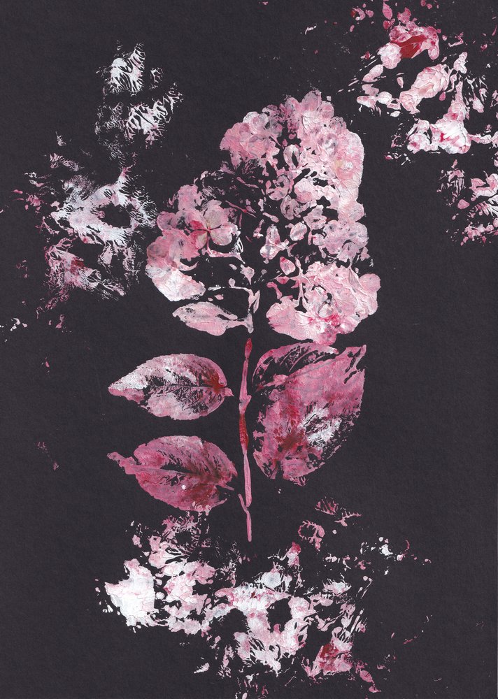 Rosa botanischer Eindruck von Maira Ribena