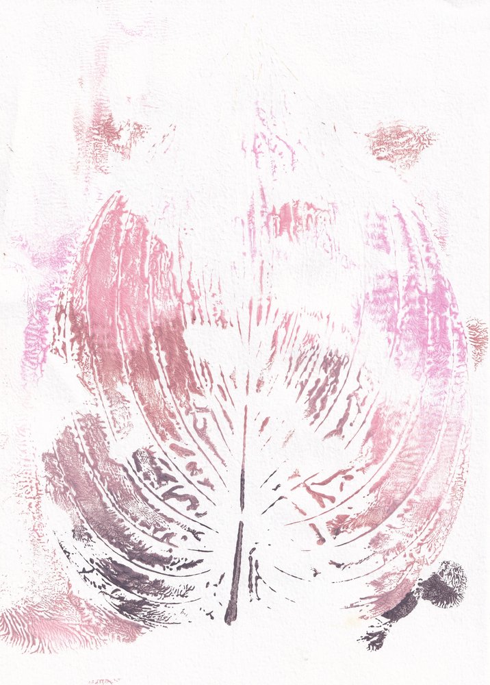 Pinker botanischer Blatt von Maira Ribena
