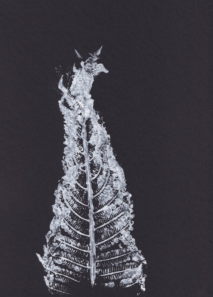 Weiße Farn-Silhouette von Maira Ribena