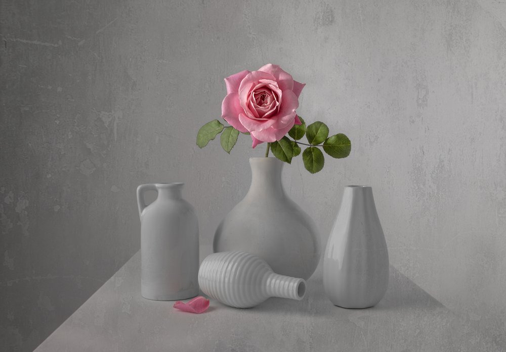 Zarte Rosa Rose Stillleben von Margareth Perfoncio