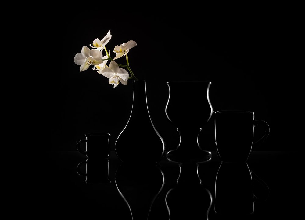 Elegante Orchideen-Silhouetten von Margareth Perfoncio