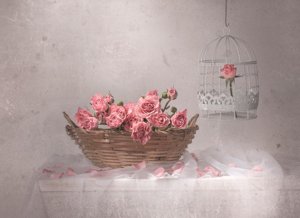 Rosa Rosen und Vogelkäfig von Margareth Perfoncio