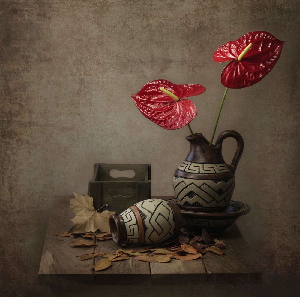 Rustikales Anthurium Stillleben von Margareth Perfoncio