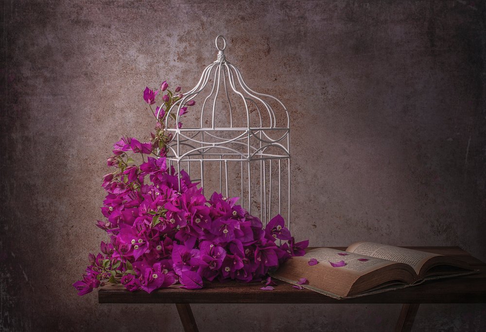 Rustikale Bougainvillea und Buch von Margareth Perfoncio