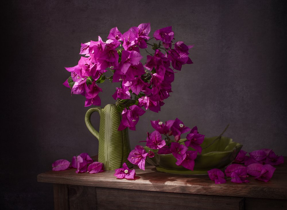 Lebhafte Bougainvillea Stillleben von Margareth Perfoncio
