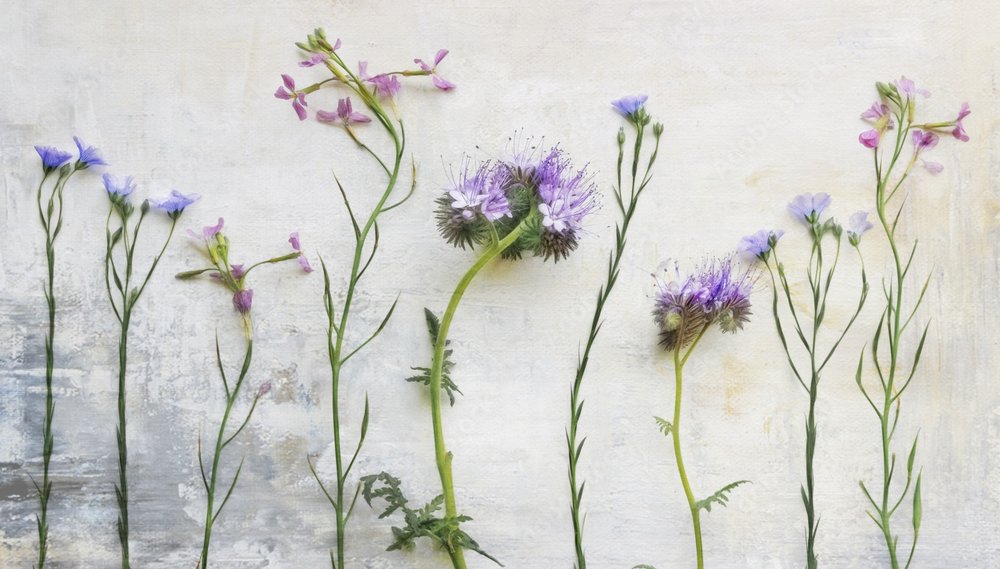 Ätherische Wildblumenstängel von Marie-anne Stas