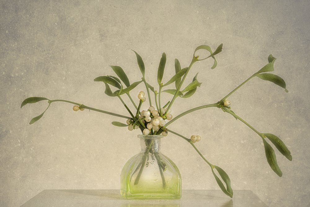 Mistelbeeren in Vase von Marie-anne Stas
