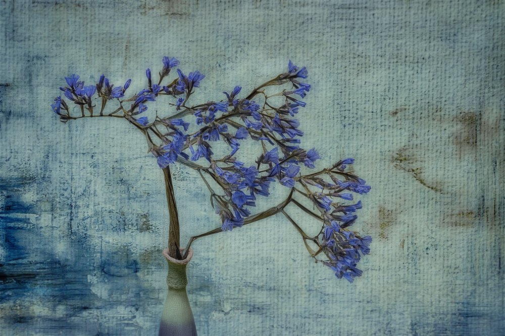 Rustikale blaue Blumenvase von Marie-anne Stas