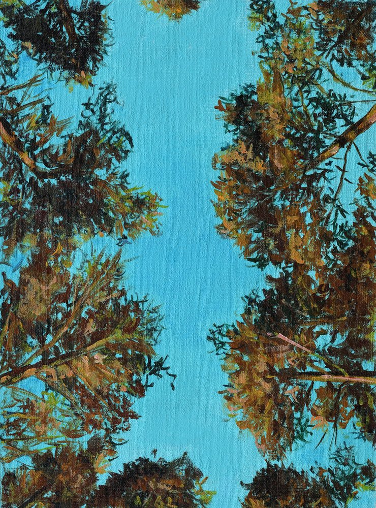 Blick hinauf zu herbstlichen Bäumen von Marina Kozyr