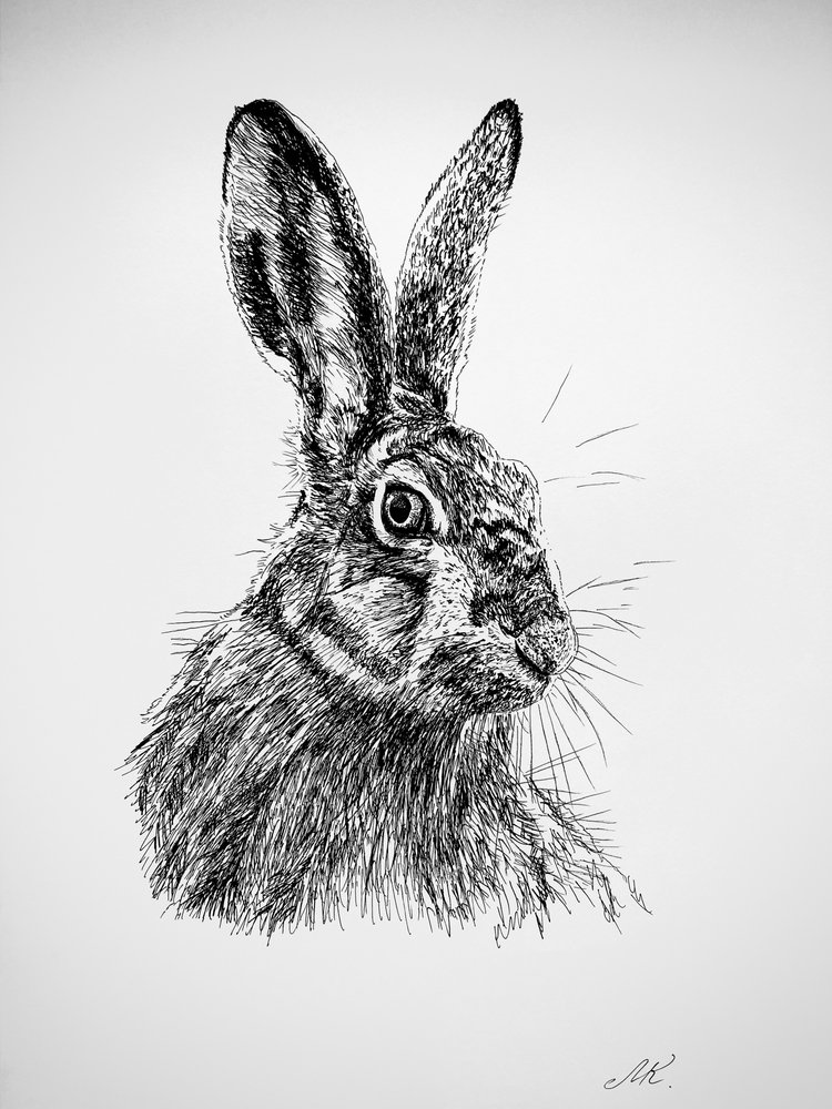 Neugierige Hasenzeichnung von Marina Kozyr