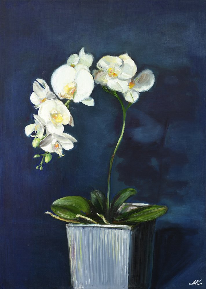 Elegante Weiße Orchideen von Marina Kozyr