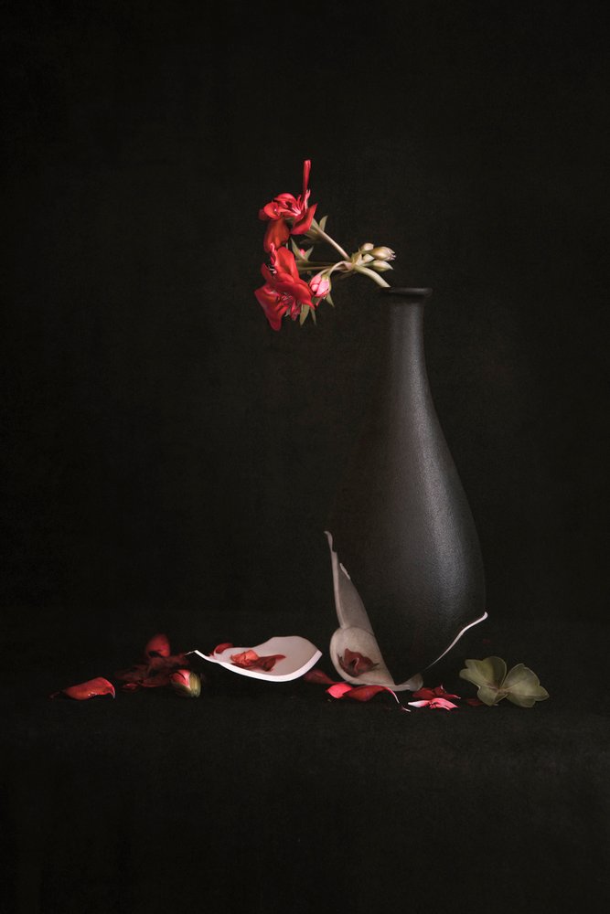 Zerbrochene Vase rote Blumen von Martine Benezech