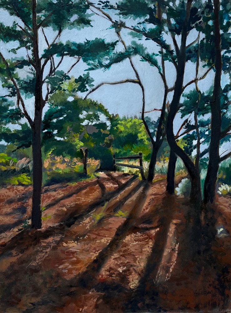 Waldweg mit langen Schatten von Maxine Shore