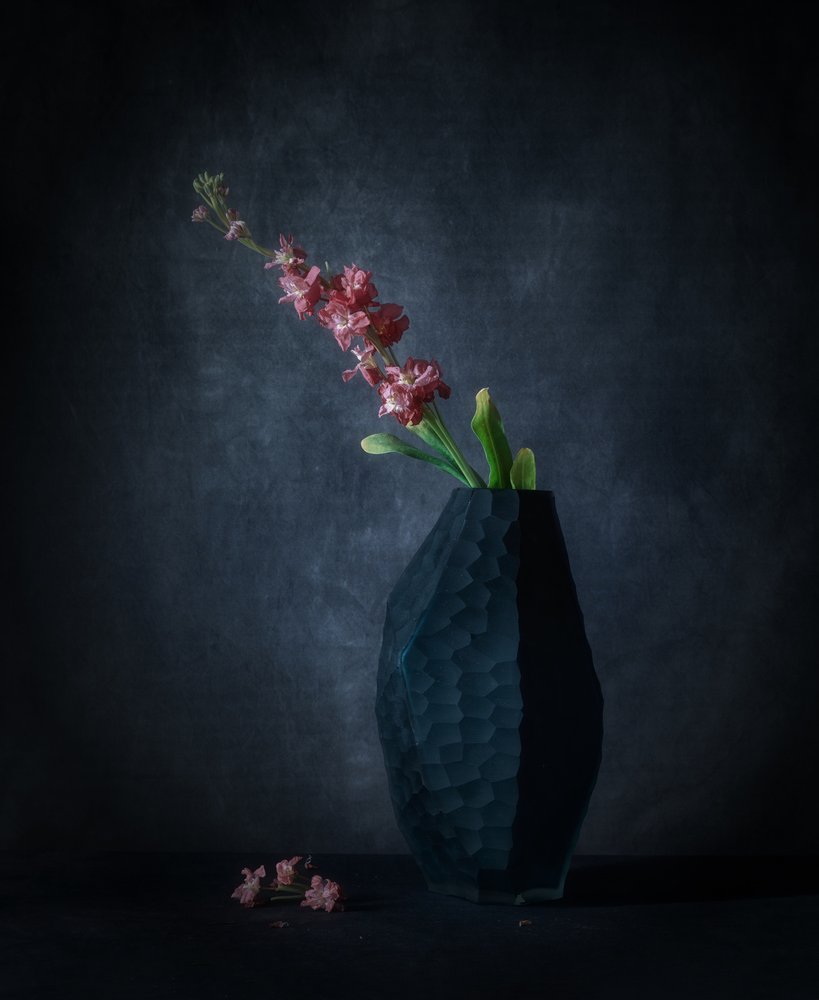 Dunkle Blumen Eleganz von May G