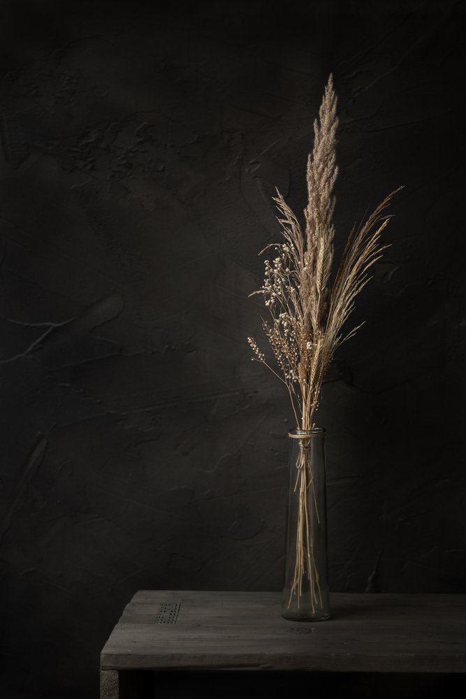 Stimmungsvolle getrocknete Gräser von Mayra Pama