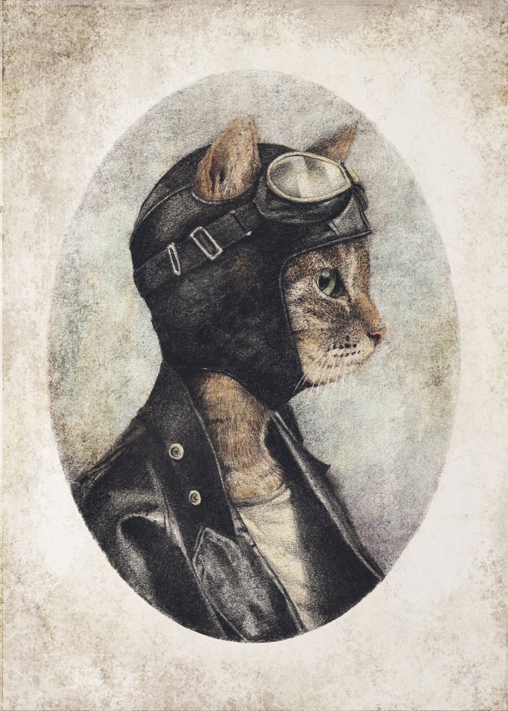 Stilvolle Katze mit Lederjacke von Mike Koubou