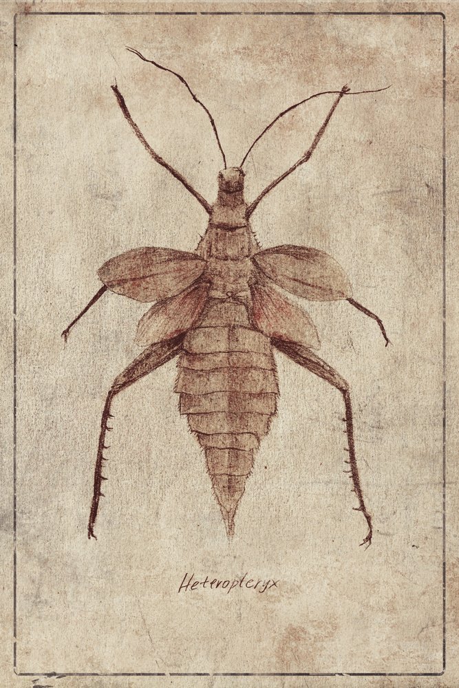 Vintage Insektenillustration von Mike Koubou