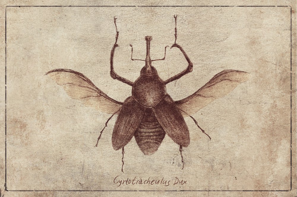 Vintage Stil und Sepia Töne von Mike Koubou