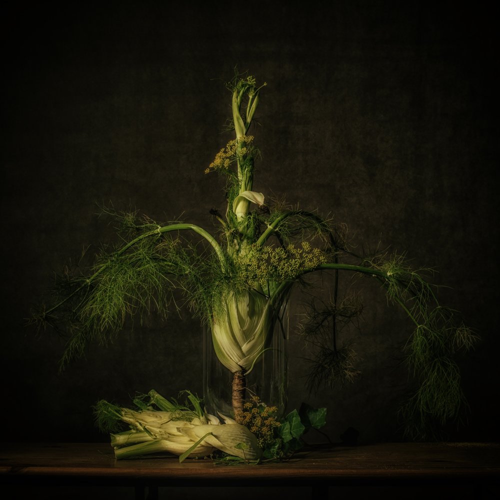 Stimmungsvolles Fenchel Stillleben von Monique van Velzen