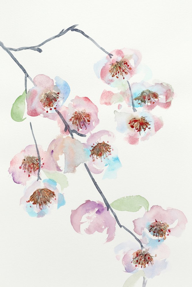 Zarte rosa Blüten von Natalie Bruns