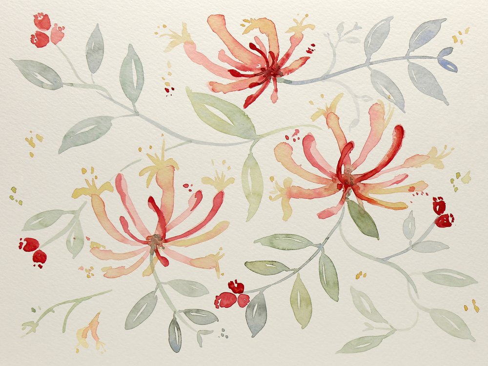 Zarte Aquarell-Botanicals von Natalie Bruns