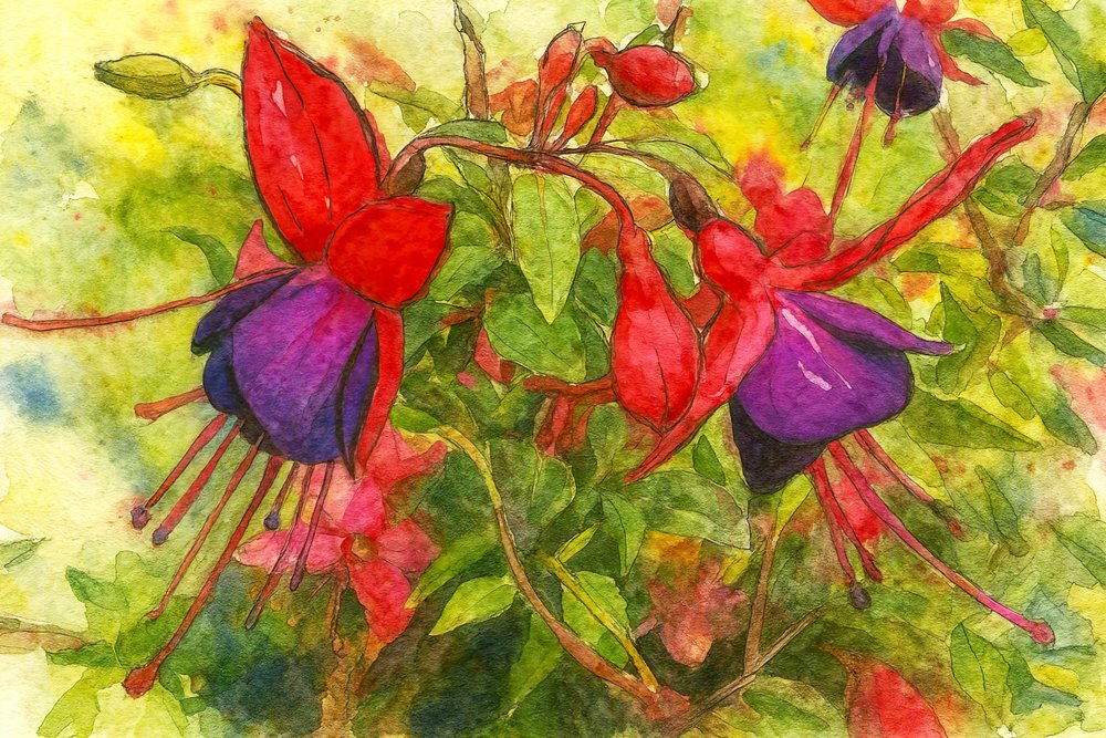 Lebendige Fuchsienblüten von Natalie Bruns