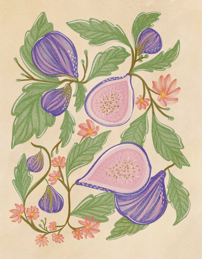 Lila Feigen und Blumen von Nikita Jariwala