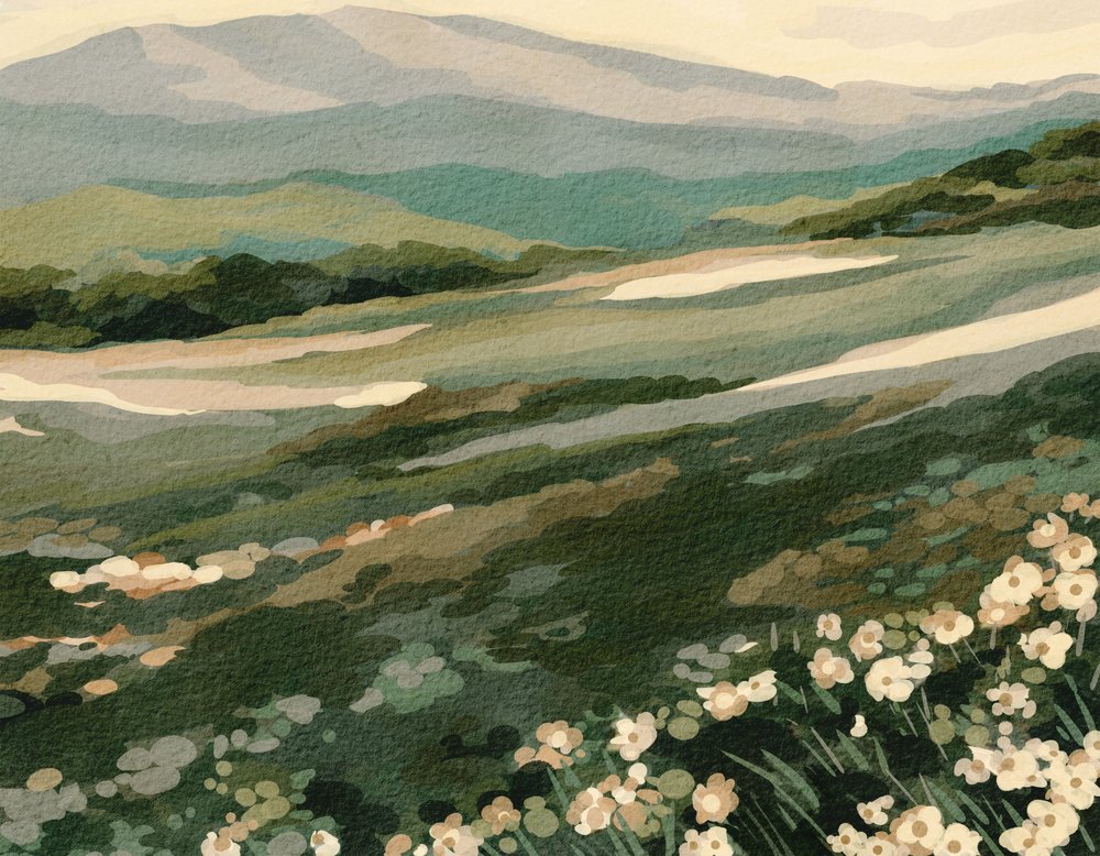 Wildblumen-Berglandschaft von Nikita Jariwala