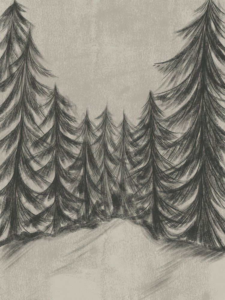 Winterwaldskizze von Nikita Jariwala