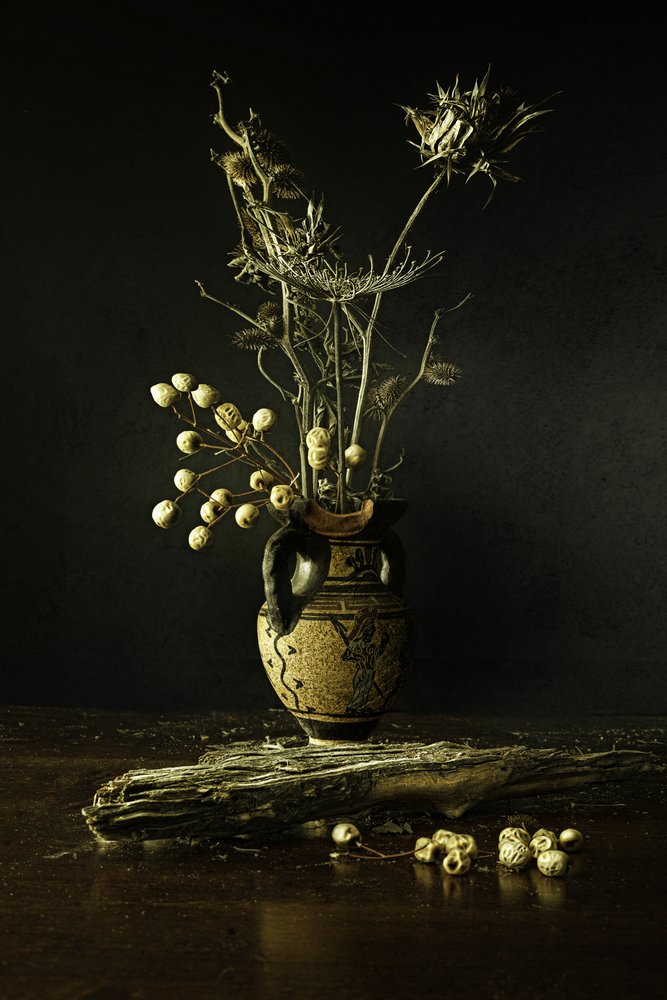 Erdiges Botanisches Stillleben von Noam Mymon