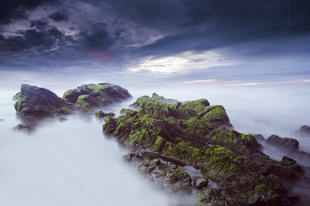 Ätherische moosige Meereslandschaft von Nuno Araujo