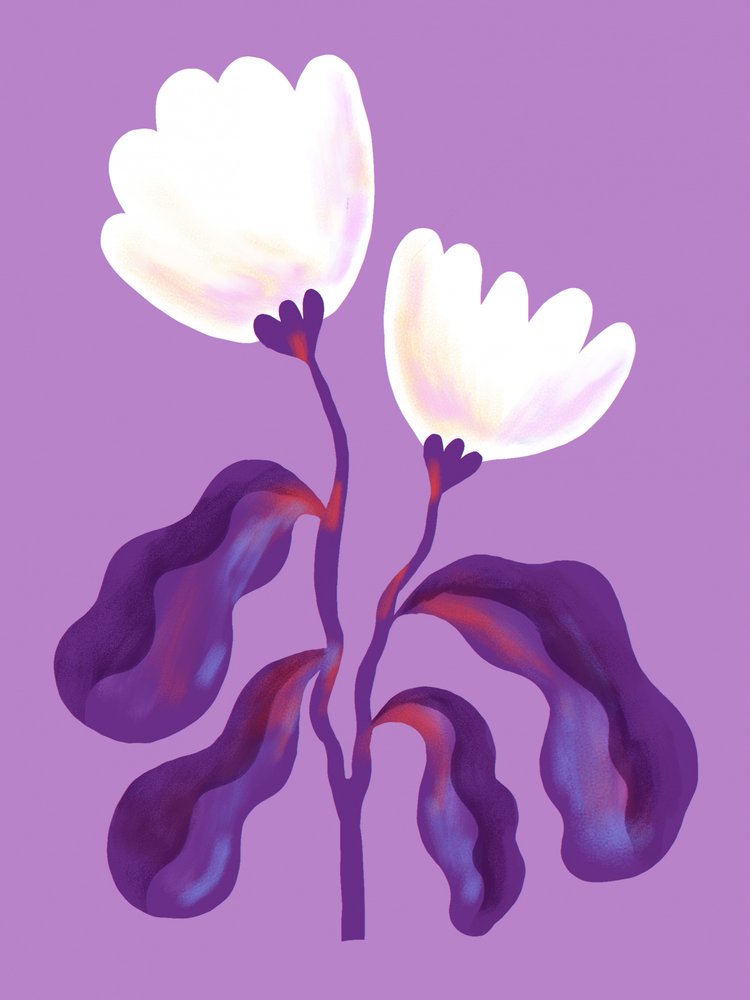 Moderne Lavendelblumen von Olga Skomorokhova