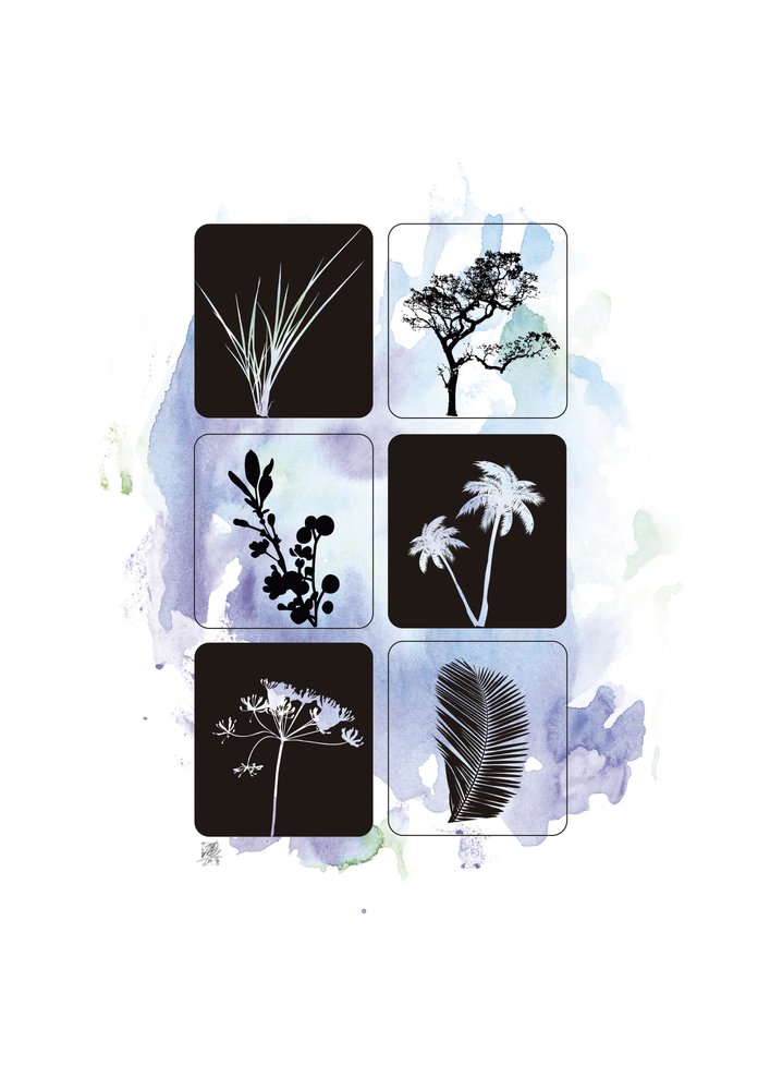 Botanische Silhouetten in Aquarell von Osvaldo Russo